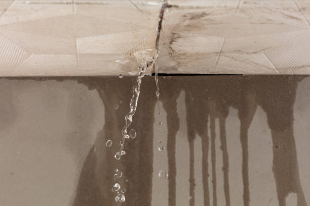 Professional Structural Drying technician working in Ellenwood, GA